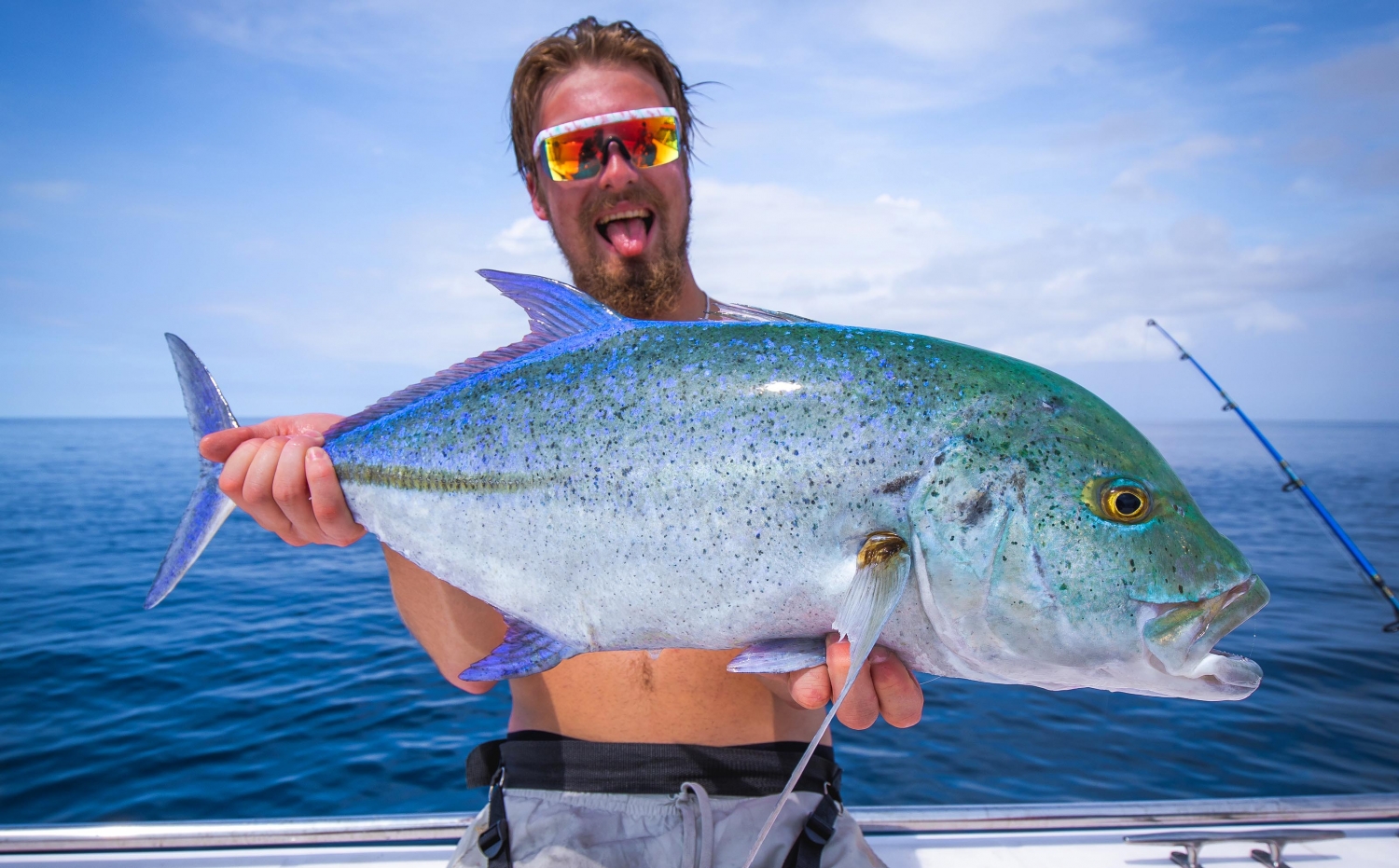 species-gt-fishers-maldives